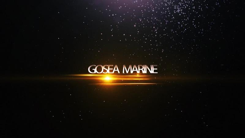 Verified China supplier - Gosea Marine(Dalian) Co., Ltd.