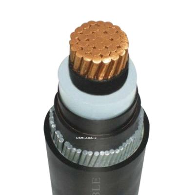 China Medium Duty Appliances 4mm 10mm 16mm 35mm 50mm 4 Core Armored Power Cable for sale