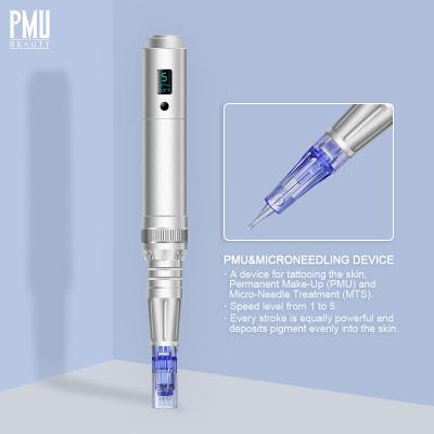 China PMbeauty Microblading Permanent Makeup Tattoo Machine Set Permanent Eyebrow Tatoo PMU Machine Kit for sale