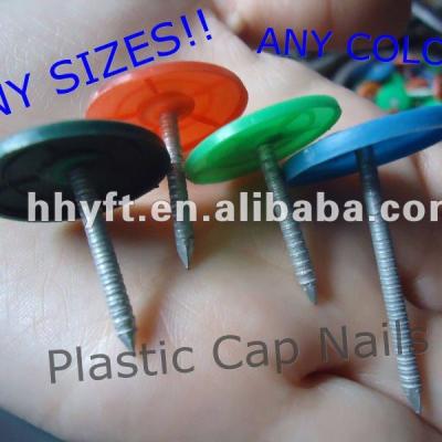 China Stainless Steel Ring Shank Nail Plastic Cap And Iron On Hot Sale for sale