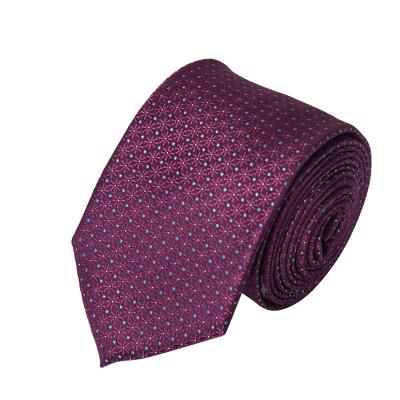 China High Quality Custom Woven 100%Micro Fiber Polyester Polylester Ties Corbatas for sale