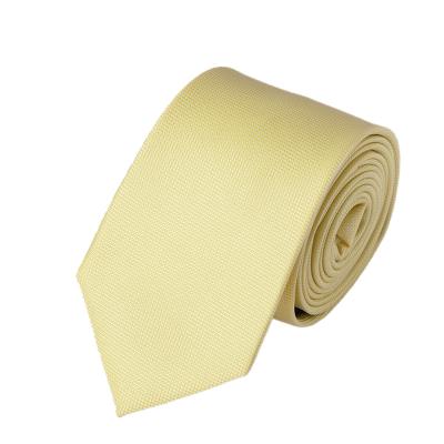 China 100%micro fiber polyester men's polyester single neck ties for sale