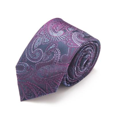 China Mens Ties 100%silk Jacquard Woven Paisley Corbatas Silk Ties for sale