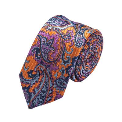 China Fashionable Neckties Wholesale High Density Woven Silk Neck ties Paisley Mens Tie for sale