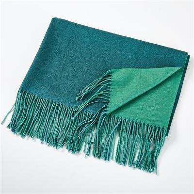 China 2021 Winter Cashmere Soft Soft Feeling Double Sided Solid Color Scarf For Women And Shawls for sale