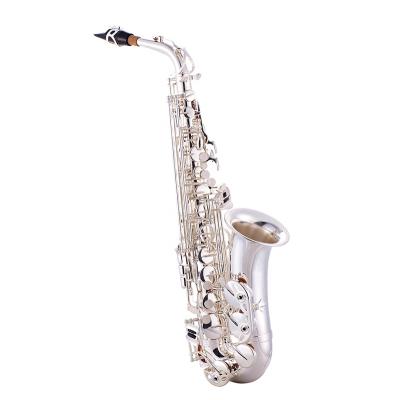 China Silver Plated High Quality Cheap Silver Alto Saxophone Brass Instrument JYAS102S for sale