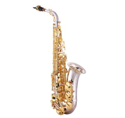 China High Quality Brass Instrument Alto Saxophone Cheap Silver Body JYAS102DSG for sale