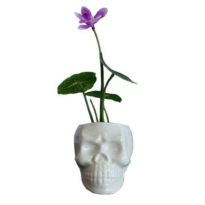 China Wholesale Cartoon Skull Small Head Shape Ceramic Flower Pots And Planters for sale