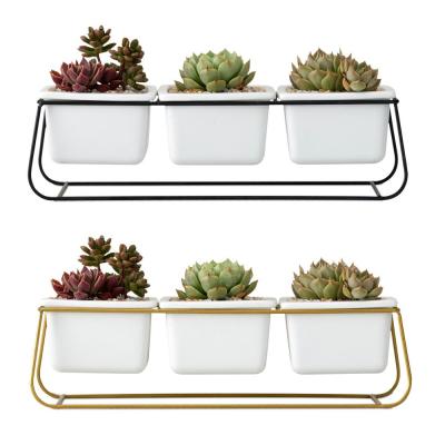 China Ceramic succulent flower pot creative set of three pots iron style modern simple rectangle frame green plants nc for sale