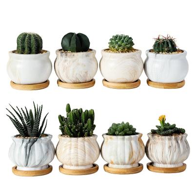 China New Modern Design Small Ceramic Succulent Flower Pot Plant Printing Ornaments Garden Pot for sale