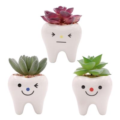 China Fashion Modern Garden Decor Succulent Planter Home And Pot 2021 Cute Tooth Shape Potted Plants Faux Flower Pots Planters From Guangdong for sale