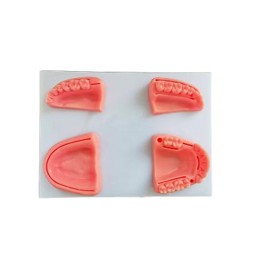 Cina Durable Oral Dental Suture Pad Kit Soft Silicone Training Suture Gum Teeth Practicing Pad For Student in vendita