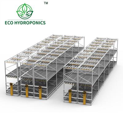 China Convenient installation and save planting space. Multi Level Vertical Ebb And Flow Benches Flood Rack Table System For Medicinal Plants for sale