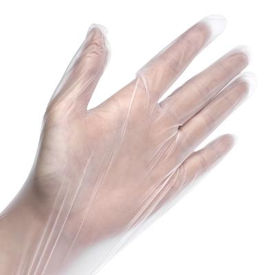 China Disposable Plastic Hospital Band Food Grade Hand Gloves for sale