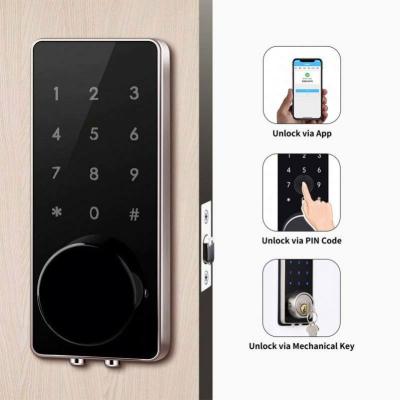 China Wooden Doors Tenon Tuya Digital Keypad Door Lock Biometric Fingerprint Intelligent Back and forth Smart Door Lock for sale