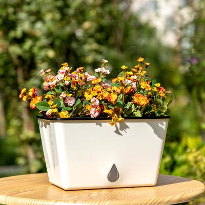 China Craftsman GARDEN plant pots flower pot for garden and office for sale