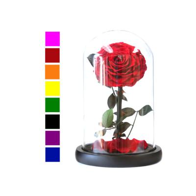 China Single Preserved Eternal Red Dome Rose 18*18*28 cm Glass Flower Gifts Box I Valentines Stem Gift Forever Day for sale