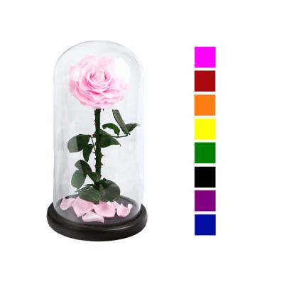 China Large Size Preserved Flower Stem Flowers Dome Box Roses Bottle Domes Long Eternal Glass Rose Gifts 21*21*38 cm for sale