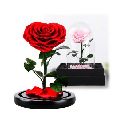 China Purpose designed! Flower Rose Amor Eternity Eternal Shapes Heart Shape Preserved Glass Dome 18*18*28 cm roses for sale