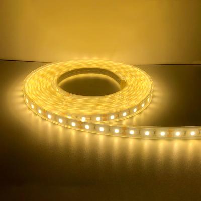 China 5050 LED Strip Lights 60 leds/m SMD 12V Residential Smart DC 10mm LED Strip Light For Linear Lighting Project for sale