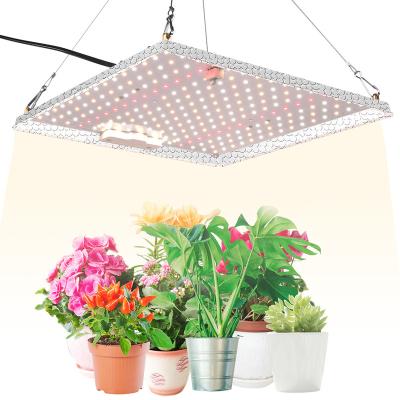 China Seed Starting Plant Led Plant Lighting Coverage 8 8ft Footprint 2000w Full Spectrum Led To Grow Light LUX China Quantity Silver Luminous Flower for sale