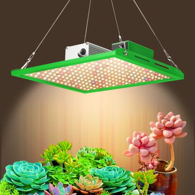 China Seed Starting Hydroponic VEG Flower Grow Lights 600W 1200W LED Greenhouse Plants Grow Light Full Spectrum Model for sale