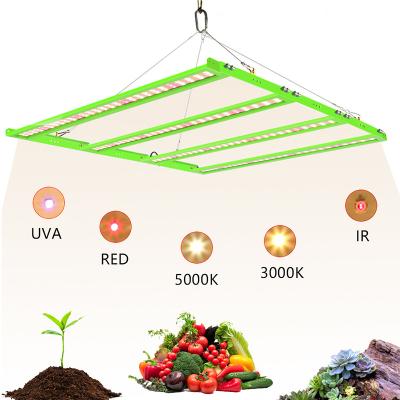 China Seed Starting Hydroponic VEG Flower Grow Lights 600W 1200W 1800W 2400W LED Greenhouse Plants Grow Light Full Spectrum Model for sale