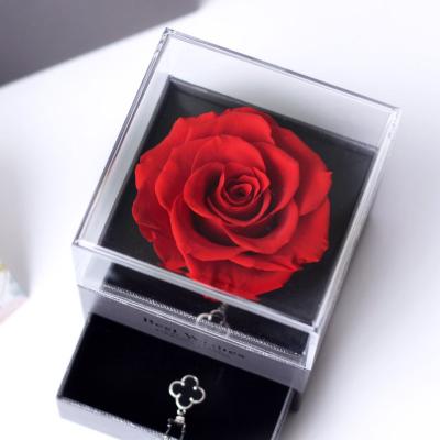 China Real Natural Grow Amazon Roses Most Popular Wholesale Gift Set Decorative Flowers Preserved Flower Rose In Acrylic Box For Mother Girlfriend for sale