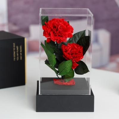 China 100% Natural Fresh Flower Amazon Success Real Preserved Natural Fresh Flower Gifts Box For Valentine Eternal Rose In Square Acrylic Box for sale