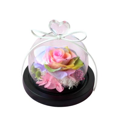 China Wholesale 100% Natural Fresh Flower Real Preserved Flowers Decoration Eternal Rose Flower Preserved Roses In Flower Glass Box For Valentines Day Gift for sale