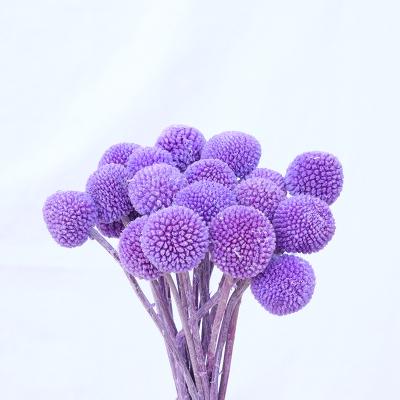 China Touch Green Environmental Wholesale High Quality Real Flower Eternal Golden Ball For Valentine's Day Floral Gift DIY Wedding Decor Home Store for sale