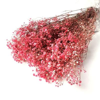 China High Quality Natural Flower Naturalr Baby's Breath Flowers Dried Gypsophila Flower DIY Floral Bouquets Celebration Arrangement Wedding for sale