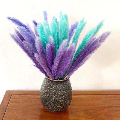 China Hot Selling Wholesale Home Flower 2021 Amazon Factory Shop Decor Wedding Decorative Wedding Flower Dried Flower Natural Small Pampas Grass For Decoration for sale