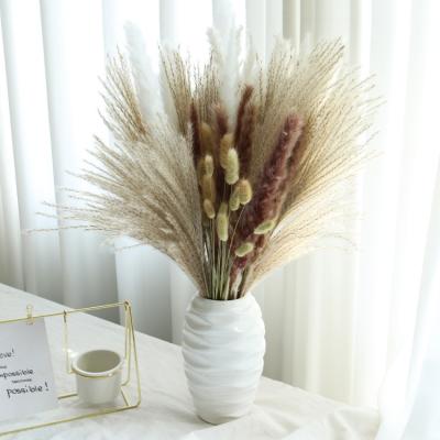 China Dried Flower Plant Flower Pampas Grass Small Supply Dried Bouquet For Party Decorations Decoration Decor Home Flowers for sale