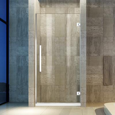 China Pivot Hinges Frameless Shower Door and Door Accessories Set for sale