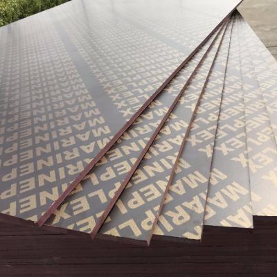 China Contemporary HIGH QUALITY Brown Film Faced Plywood Finger-Sealed Core Not Shuttering for sale