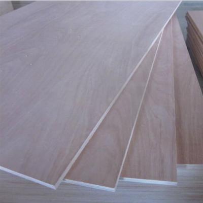 China Contemporary Okoume bintnagor faced poplar commercial plywood for sale