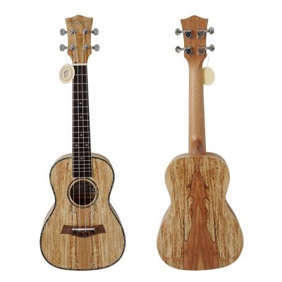 China Aiersi Brand Spalted Spalted Spalted Maple Laminate 23 Inch China Ukulele Ukulele Concert Ukulele For Sale for sale