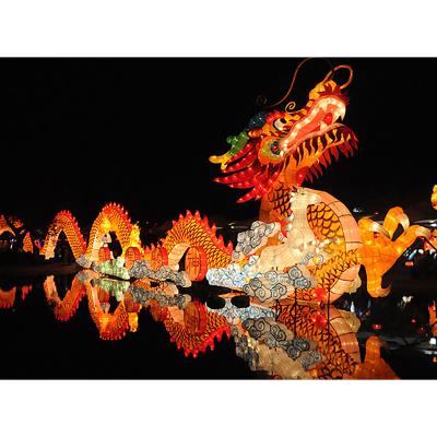 China Indoor Outdoor Realistic Silk Lantern Festival Decorate Chinese Dragon Lantern For Sale for sale