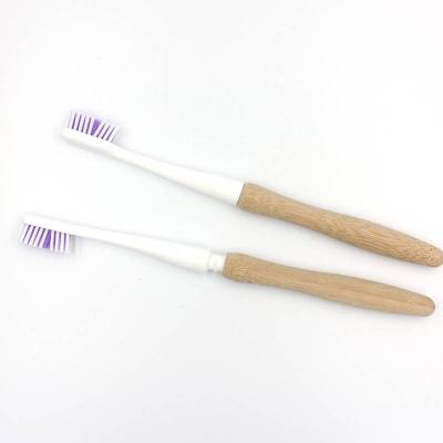 China Eco-Friendly Biodegradable Replaceable Toothbrush Toothbrush Replacement Heads Bamboo Toothbrush Bristle To Replace for sale