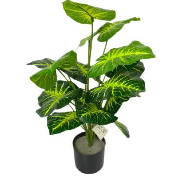 China Beautiful 18 colorful green indoor home simulation simulation desktop taro leaf bonsai decoration plants for sale