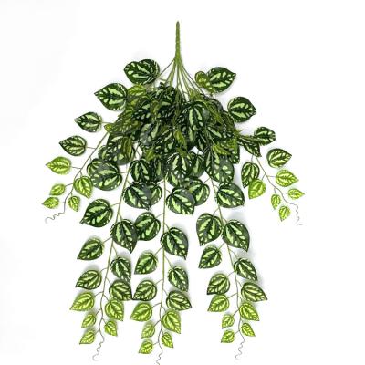 China Decoration simulation plant wall hanging leaf environmental friendly cold water indoor and outdoor leaf for sale