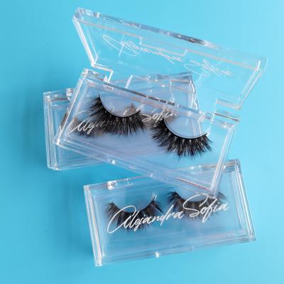 China Fashionable Eyelash Tool Eyelash Boxes Packaging With Cute Eyelash Packaging Clear Acrylic Lash Box Synthetic Hair for sale