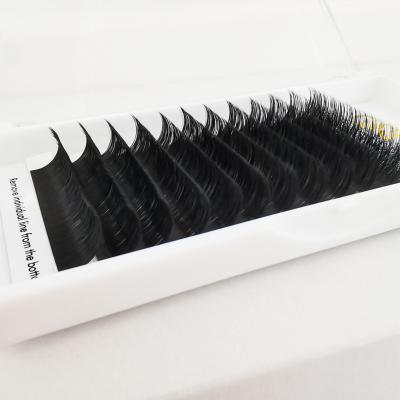 China Qingdao Natural Long Private Label Whips PBT Superroot Fan Eyelash Extension Soft Las Silk Easy Extension Supplies for sale