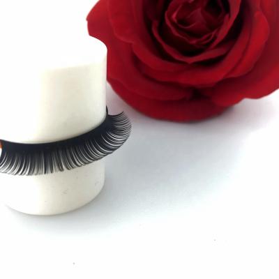 China Extremely Soft Mink Eyelash Extensions Customized Easy Fanning Eyelash Extension Easy To Fan Eyelash Supplies for sale