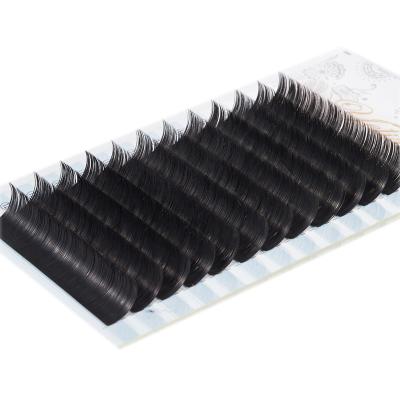 China Premium Natural Mink individual pbt silk matte black eyelash lash extensions lash extension whips lashextensions easy fan for sale