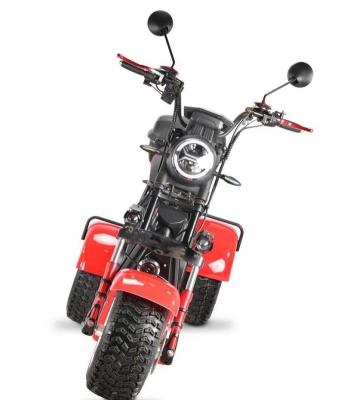 China EEC DOT niu elektric scooter Electric Tricycles citycoco Dual motor high power 4000W three-wheel Electric Tricycle Motorcycle for sale