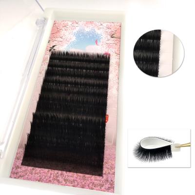 China Long Beautiful Short Natural Tray Flower Korean Silk Easy Fanning Eye Lashes Extensions for sale