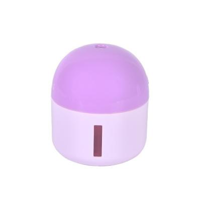 China Outdoor Luxury Nano Mist Moisturize Humidifier 300ml Simple Convenient Small Humidifiers For Home for sale