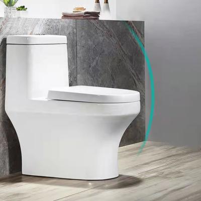 China Springlegroup Automatic Operation Dual Siphonic Europe Standard Design Modern Single Piece Flush Luxury Household Toilet for sale